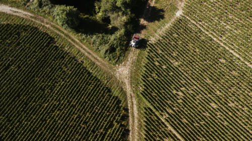 Champagne Guy de Forez - Tracteur - Travaux dans les vignes