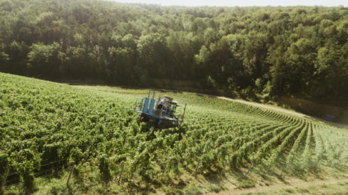 Champagne Guy de Forez - Tracteur - Travaux dans les vignes