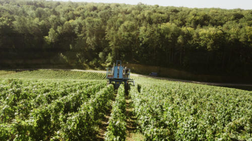 Champagne Guy de Forez - Tracteur - Travaux dans les vignes