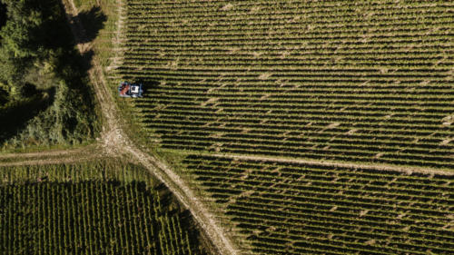 Champagne Guy de Forez - Tracteur - Travaux dans les vignes