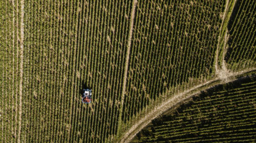 Champagne Guy de Forez - Tracteur - Travaux dans les vignes