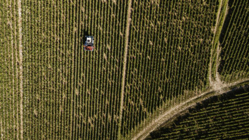 Champagne Guy de Forez - Tracteur - Travaux dans les vignes