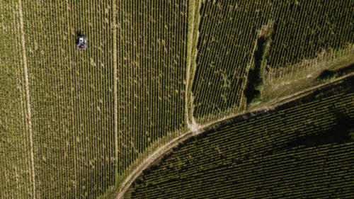 Champagne Guy de Forez - Tracteur - Travaux dans les vignes