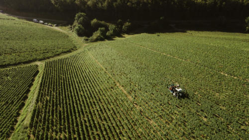 Champagne Guy de Forez - Tracteur - Travaux dans les vignes