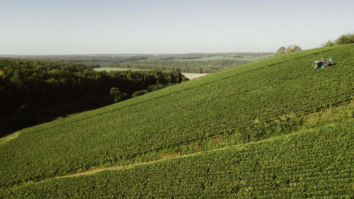 Champagne Guy de Forez - Tracteur - Travaux dans les vignes