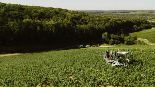 Champagne Guy de Forez - Tracteur - Travaux dans les vignes