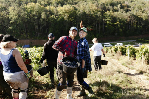 Champagne Guy de Forez - Vendanges 2021