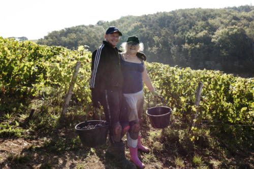 Champagne Guy de Forez - Vendanges 2021